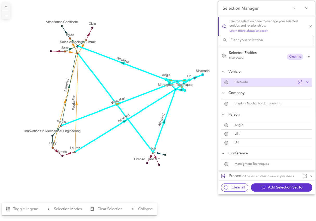 Selection manager listing the selected records Selection manager listing the selected records